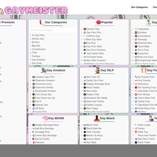 Gaymeister