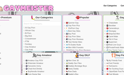 Gaymeister